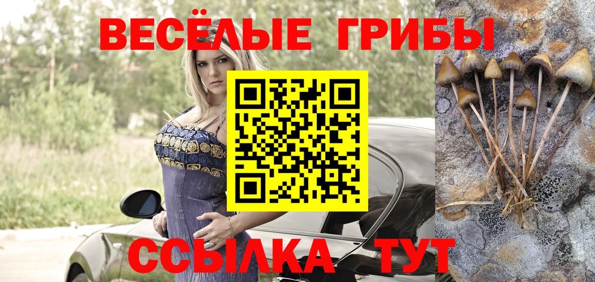 Галлюциногенные грибы мухоморы  Псилоцибиновые грибы прущие грибы  Вход с VPN  Менделеевск 